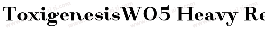ToxigenesisW05 Heavy Regular字体转换